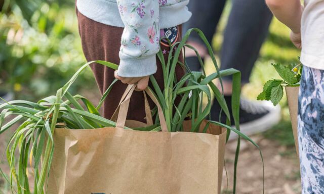  Erntezeit bei Schule & Landwirtschaft 