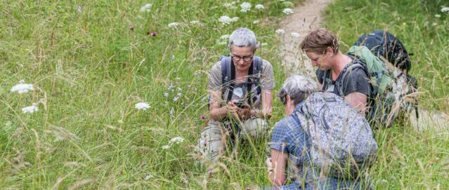 Tag der Natur: 24 Stunden auf Artensuche 