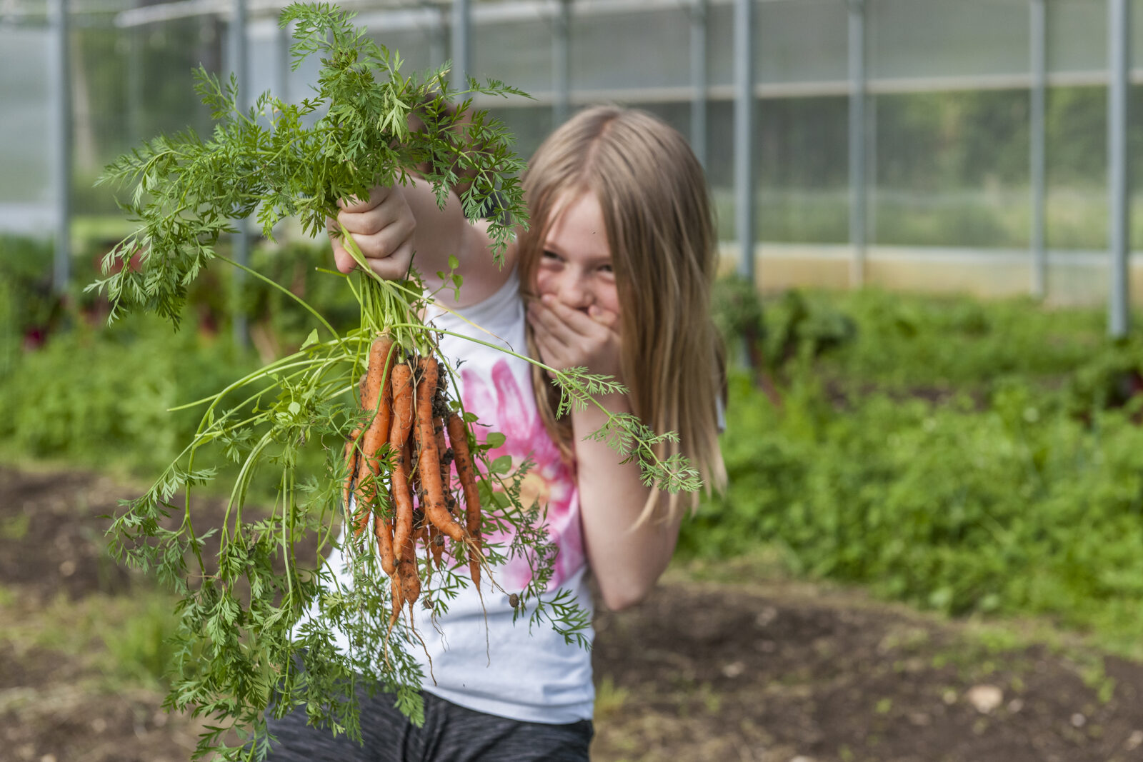 Karottenernte im Bildungsprogramm "Schule & Landwirtschaft"
© Christoph Merian Stiftung, Kathrin Schulthess