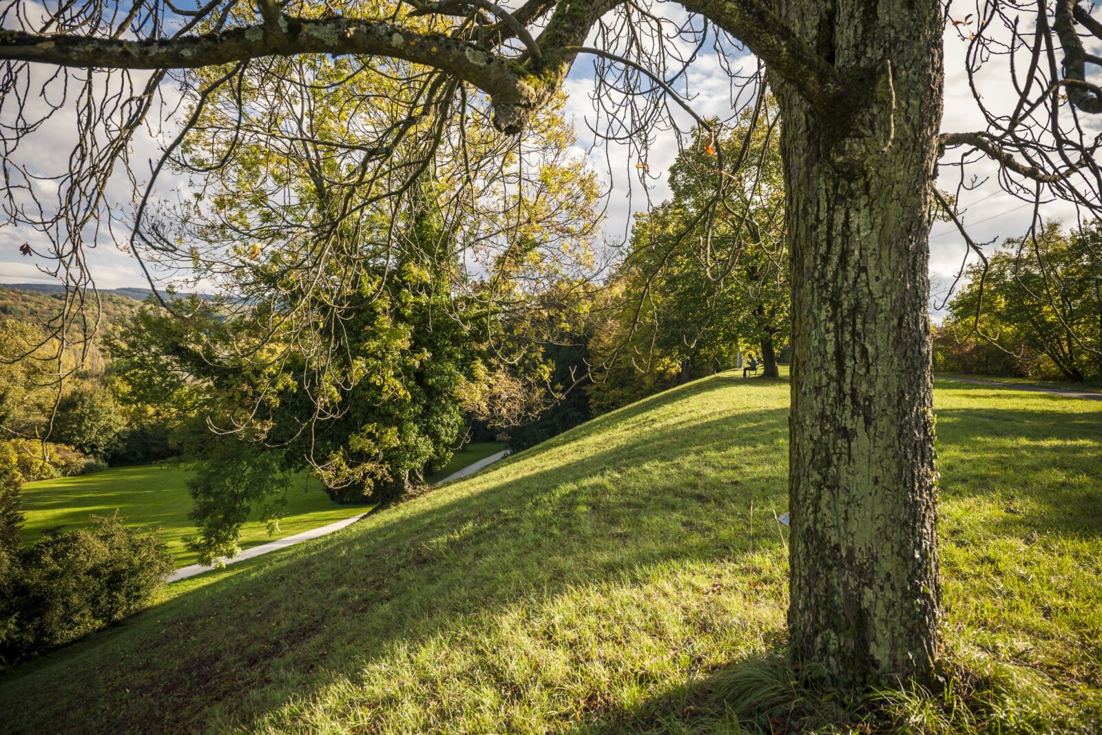 Naturschutzgebiet auf dem Hochplateau oberhalb vom Englischen Garten
© Christoph Merian Stiftung, Kathrin Schulthess