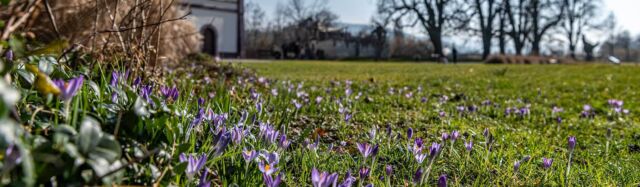 Willkommen in den Merian Gärten