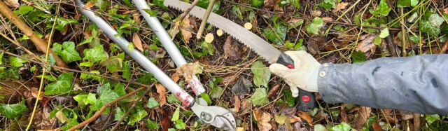 Keine Angst vor dem Schneiden!