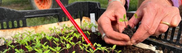 Blumen machen glücklich!