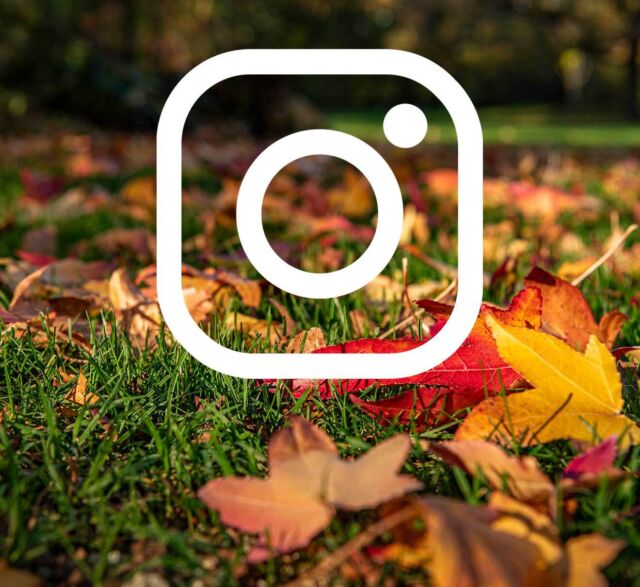  Folgen Sie uns auf Instagram 