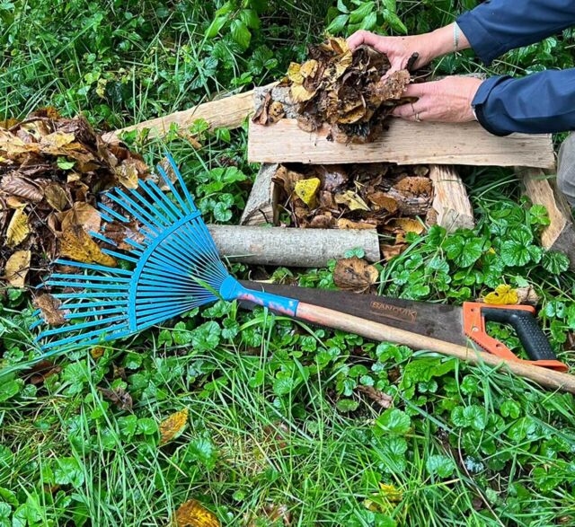  Praktische Gartentipps 